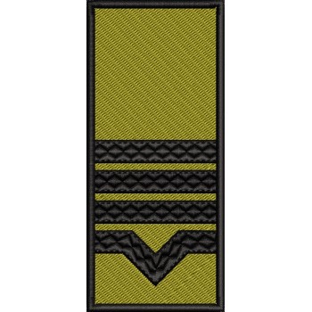 GRADE MAISTRU MILITAR CLASA II / PATCH CU SCAI